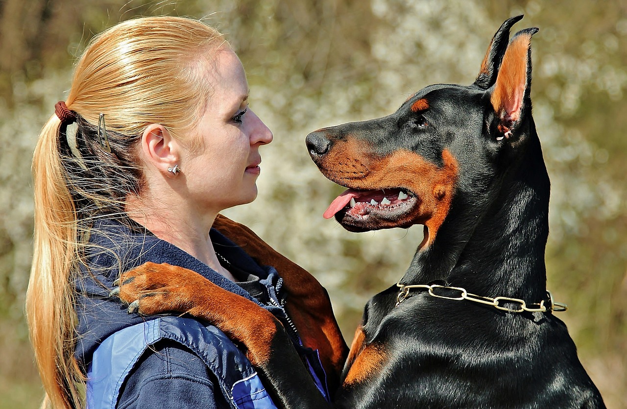 doberman, dog, hug